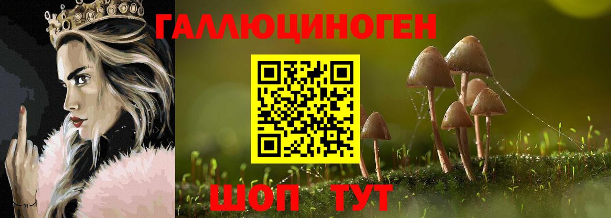 Псилоцибиновые грибы Psilocybe  Вход с VPN  Псилоцибиновые грибы GOLDEN TEACHER  Изобильный 